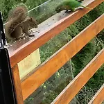 Pousada La Sierra